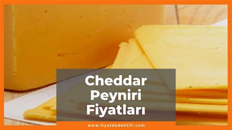 Cheddar peyniri toptan fiyat